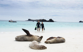 Wildlife Encounters & Volcanic Landscapes in the Galápagos Islands